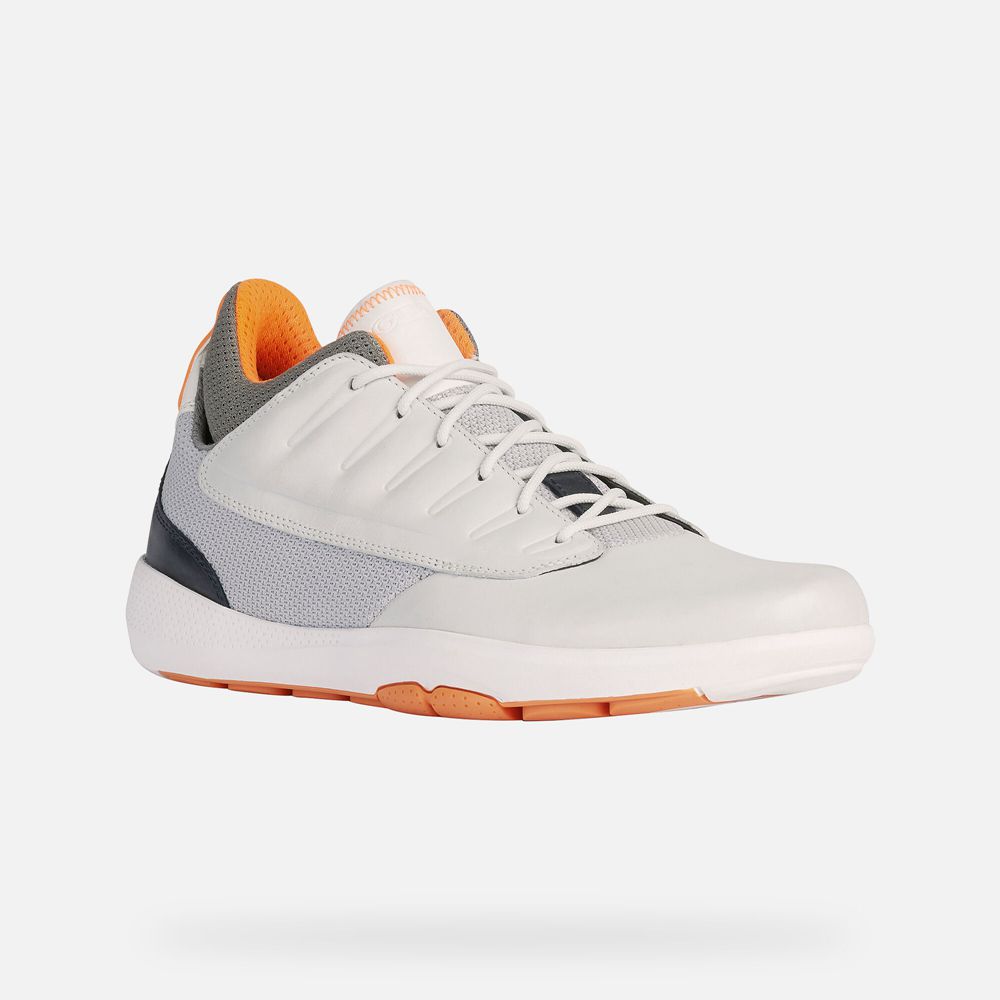 Basket Geox Modual Abx - Blanche/Orange - Homme 075863-NGH